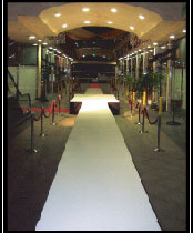 Catwalk runway11 174x210 Catwalk